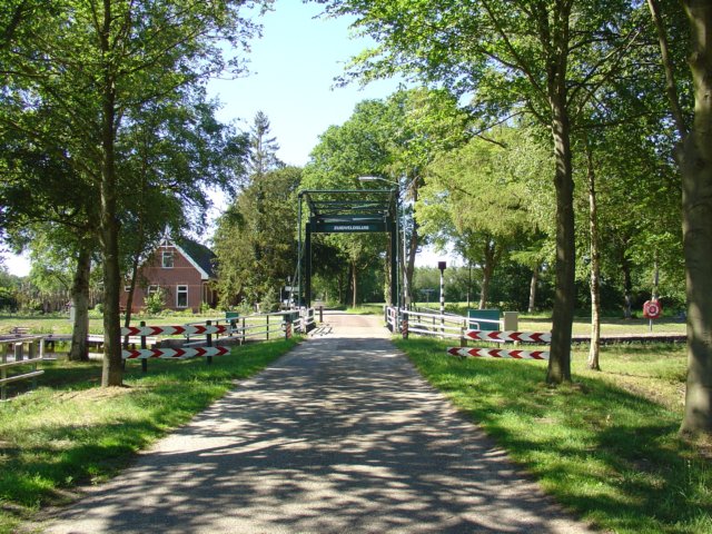 TerApel 044.jpg